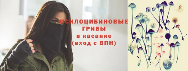 гидра Алексин